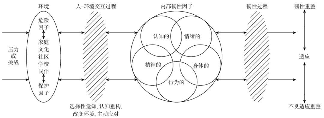 心理韌性：你的抗壓能力從何而來？