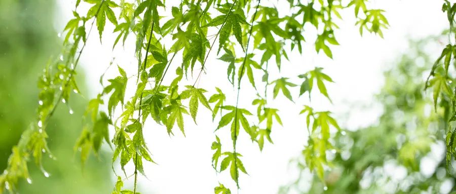 直面恐懼，是我戰(zhàn)勝抑郁癥的關(guān)鍵原因