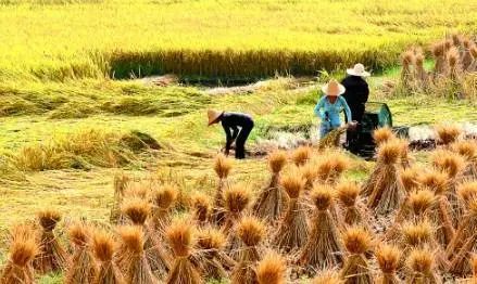 活在當(dāng)下，讓我獲得了發(fā)自內(nèi)心的平和與喜悅