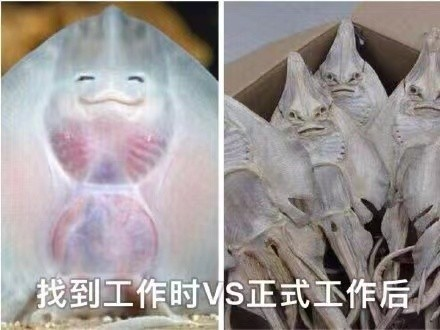 過(guò)上想要的生活后才發(fā)現(xiàn)優(yōu)秀并不重要