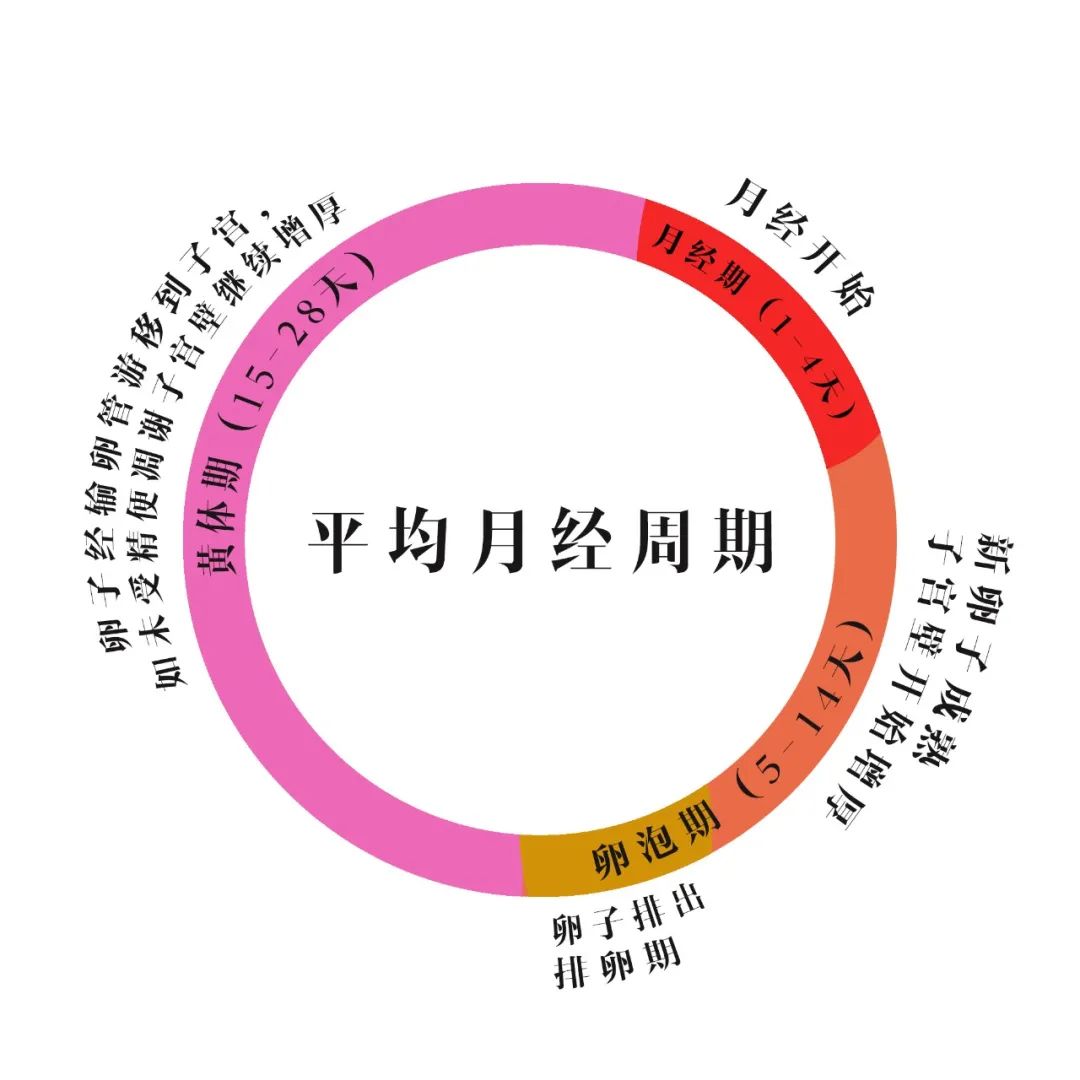 消費行為可能與月經(jīng)周期相關