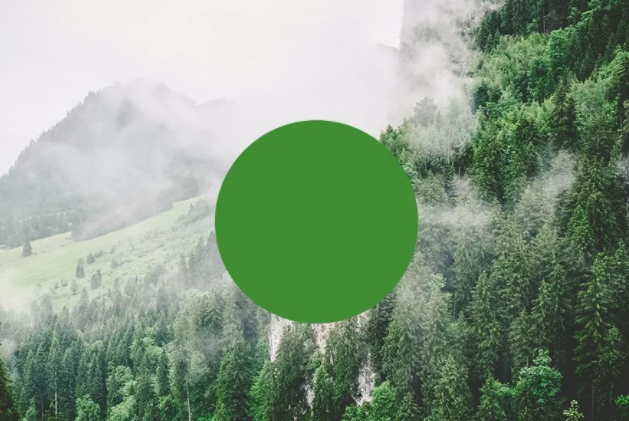 性格色彩測(cè)試的準(zhǔn)確性