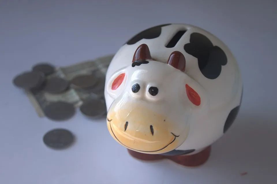 怎樣培養(yǎng)孩子的金錢觀念