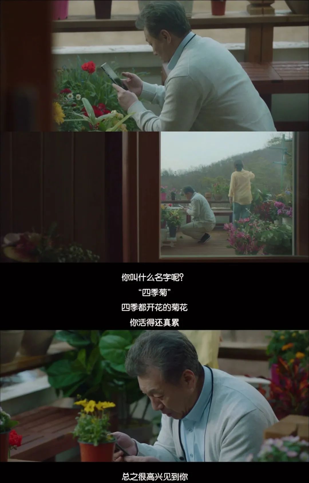 邁入老年為什么會愛上花花草草？