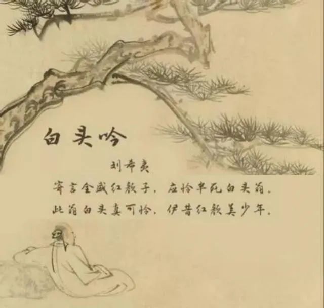 大學(xué)生對人口老齡化的認(rèn)知、態(tài)度與行為