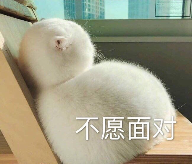 你為什么總是忍不住晚睡？