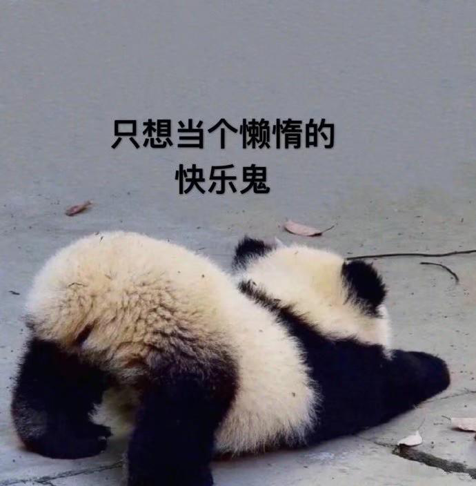 你為什么總是忍不住晚睡？