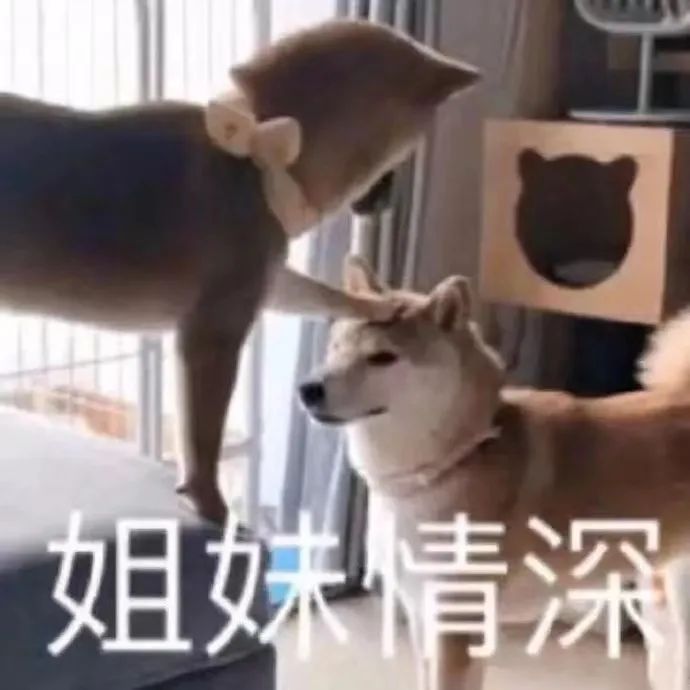 《五十度灰》情色小說的女性讀者居多