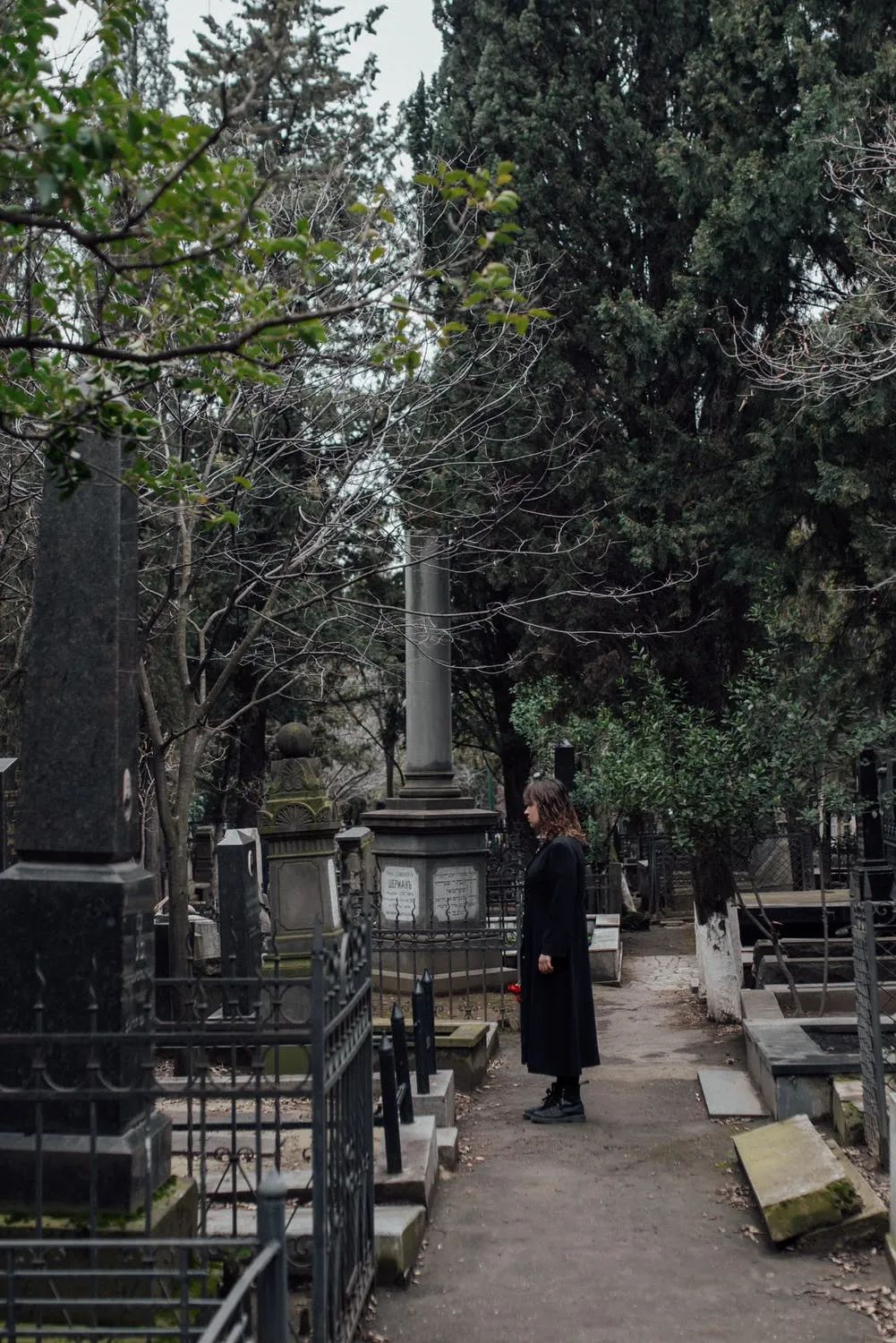 《生命中不可承受之痛》讓愛成為生命的遺產(chǎn)