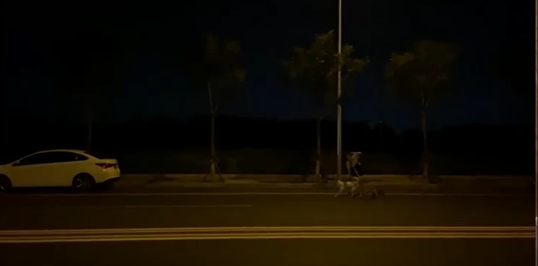 你擁有的什么才會讓你感到自由？