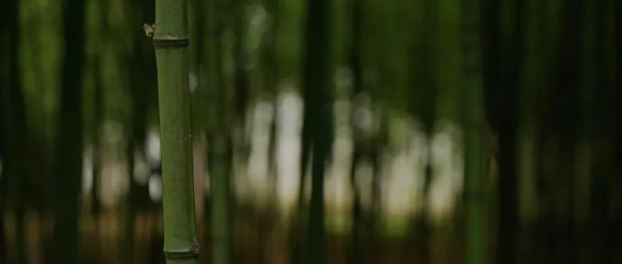 心理咨詢理論屬于西方文化，本質(zhì)上致力于對欲望的追逐