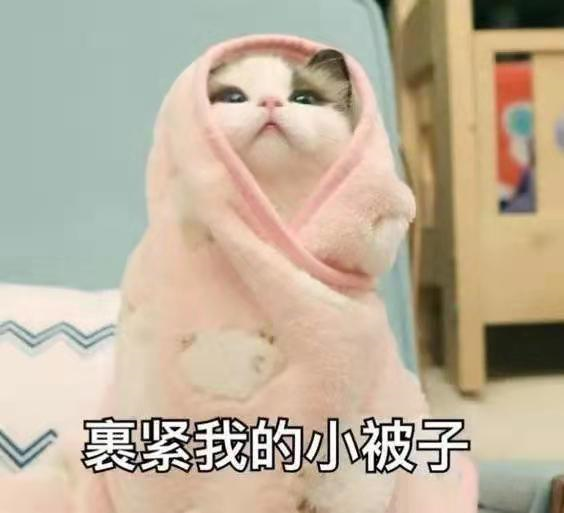 什么是阿倫規(guī)律和貝格曼規(guī)律？