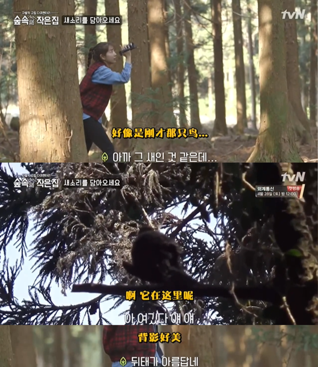 人為什么害怕孤獨(dú)、又該如何緩解孤獨(dú)？