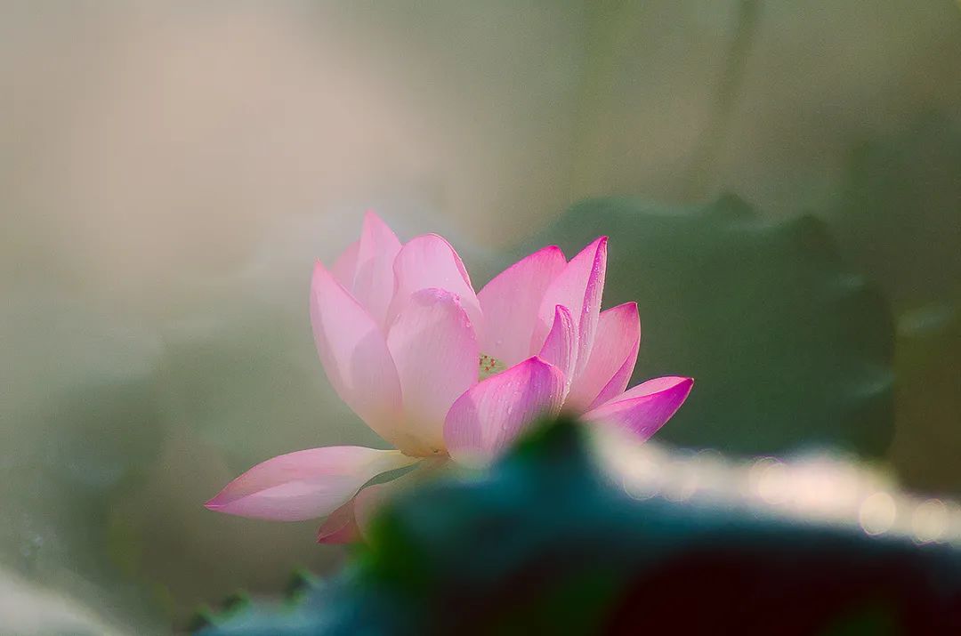 為什么經(jīng)常練習(xí)正念，效果卻不是很好？