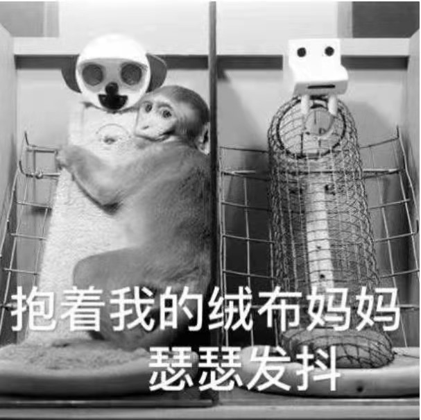 對柔軟物質的天然依賴讓人毫無抵抗力