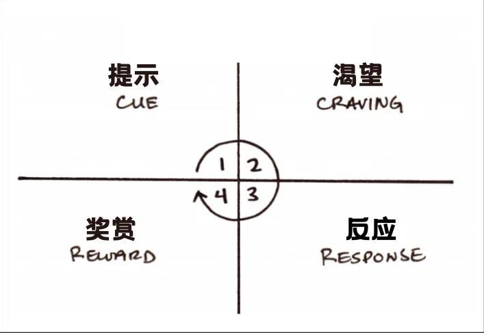 如何循序漸進(jìn)地養(yǎng)成好習(xí)慣