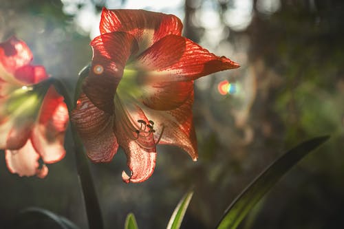 蘇芒被嘲，舒淇認(rèn)慫，宋丹丹道歉：像極了孤立無援的我