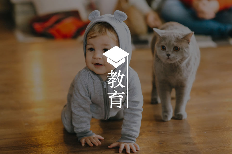 兒童心理：寶寶喜歡玩手機(jī)，家長(zhǎng)該注意哪些問(wèn)題？