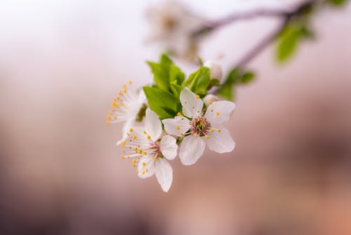 結(jié)婚后的情人節(jié)是否可以浪漫依然