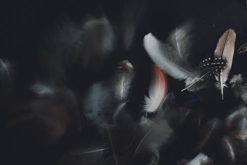 不安思維：如何毀掉自己的創(chuàng)造力和快樂源泉？