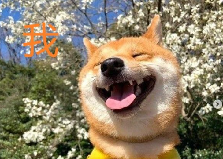 抑郁了，你就玩一會(huì)兒…