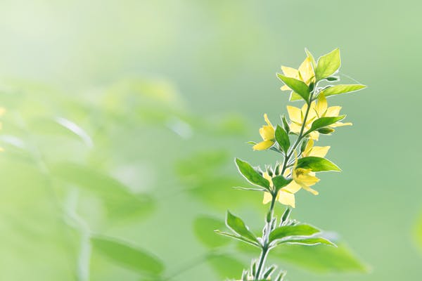 如何通過做計(jì)劃減少情緒內(nèi)耗？