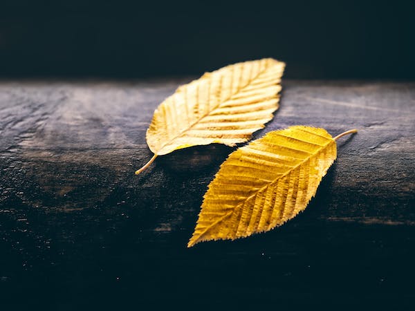 如何避免“優(yōu)柔寡斷”帶來的精神內(nèi)耗？