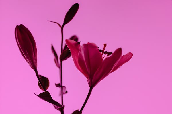 信任危機(jī)：人們喜歡看到女性失敗，因?yàn)槌晒Σ环项A(yù)期