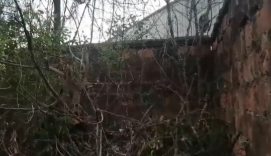 胡鑫宇系自縊死亡：“我試著銷聲匿跡，原來我真的無人問津”
