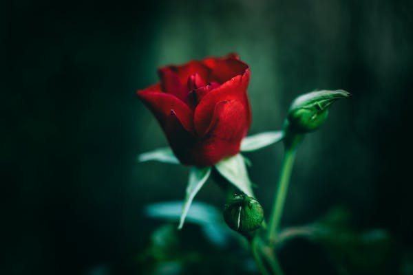 每天都快快樂樂是不可能的，也不應(yīng)該