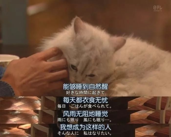 通訊錄的500個人里，有3個愛我就夠了……