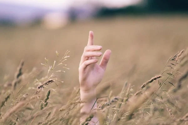 努力是如何毀掉一個(gè)人？探索勤勉型抑郁癥