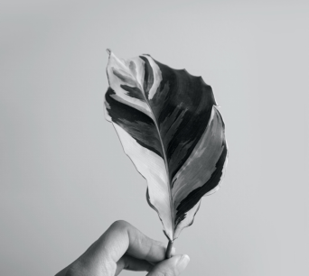 停止對(duì)抑郁病人說(shuō)這三句安慰的話!