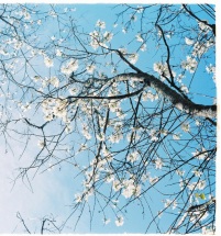 善待自己從改變批評(píng)式對(duì)話開(kāi)始