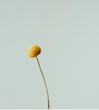 男友頻繁爽約引發(fā)心理反感: 如何應對失望與情緒困擾?