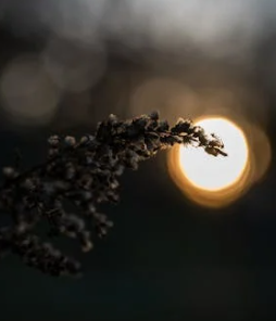 從挫折中崛起：如何將失敗轉(zhuǎn)化為成長(zhǎng)的動(dòng)力